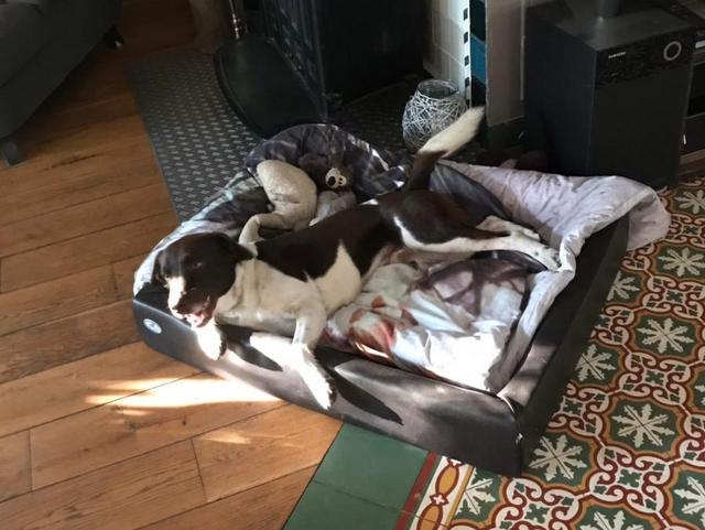 1 2018 04 30 PHOTO 00000246