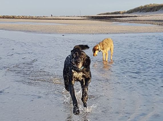 1 IMG 20171220 WA0006 001