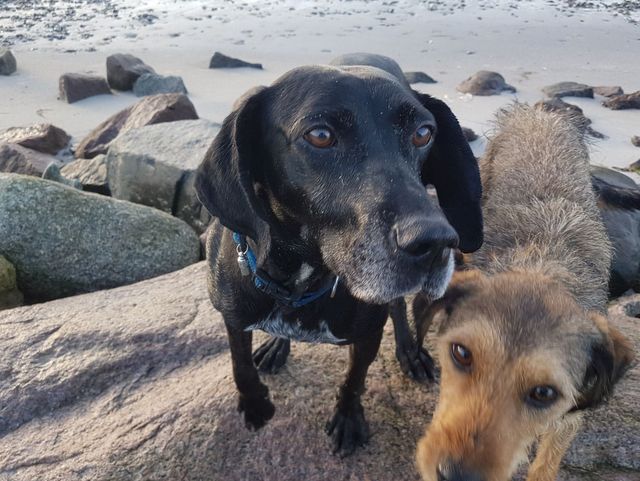 1 IMG 20171220 WA0011