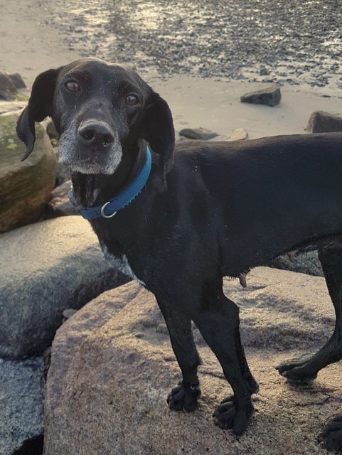 1 IMG 20171220 WA0012