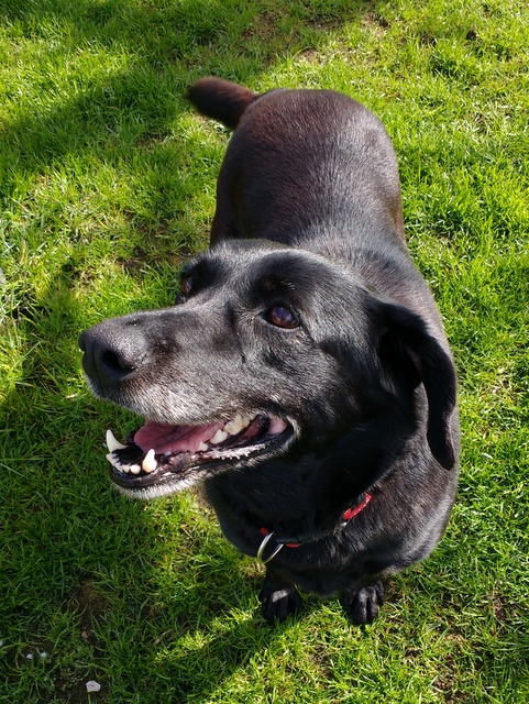 1 IMG 20170413 103911444