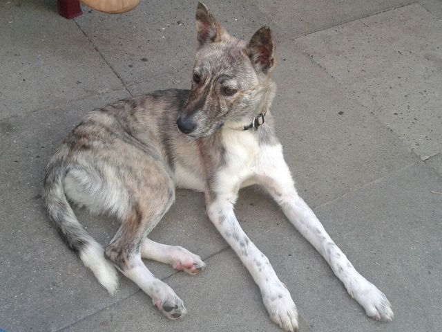 1 IMG 20160702 WA0000