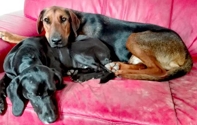 1 21103686 1656694451008913 715900805 o