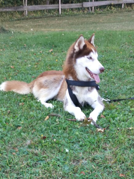 IMG 20160914 152746 1480755715657