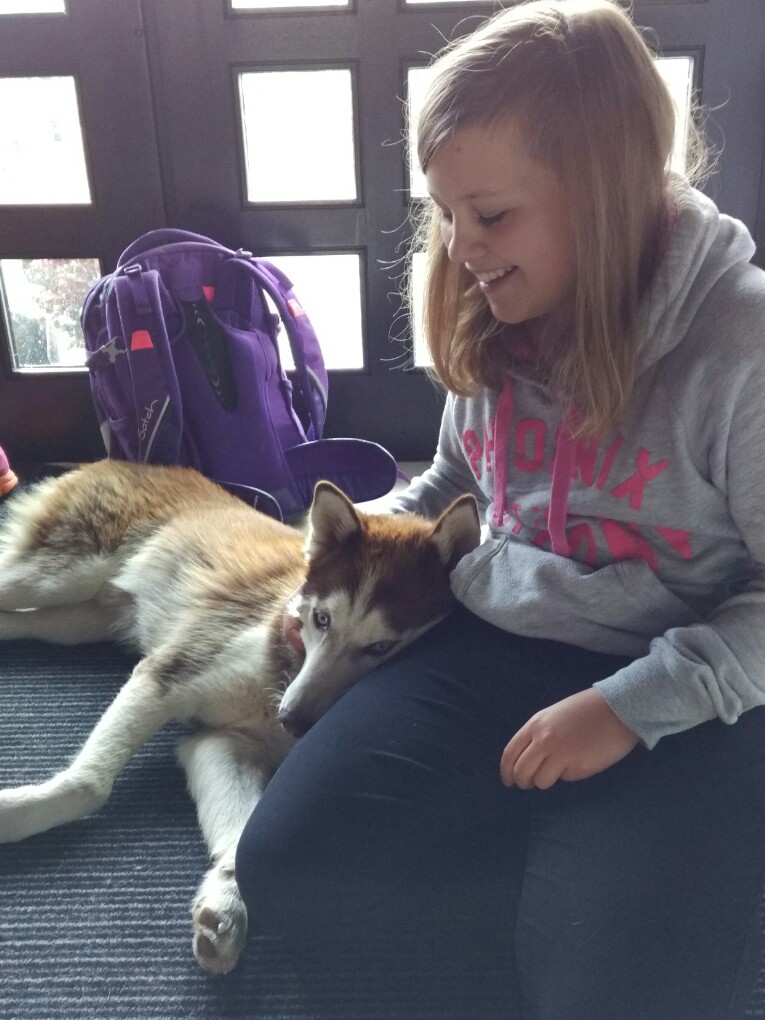 IMG 20161011 115936 1480756074215