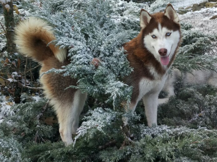 IMG 20161108 084651 1480756147461