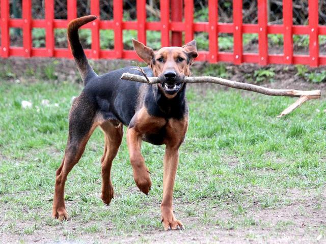 1 cid part5 7DBA24B5 43B25377online