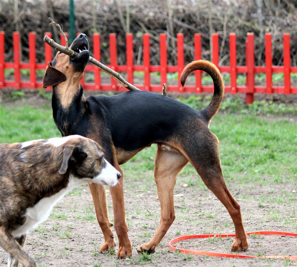 cid part6 201439DF C9B092F1online