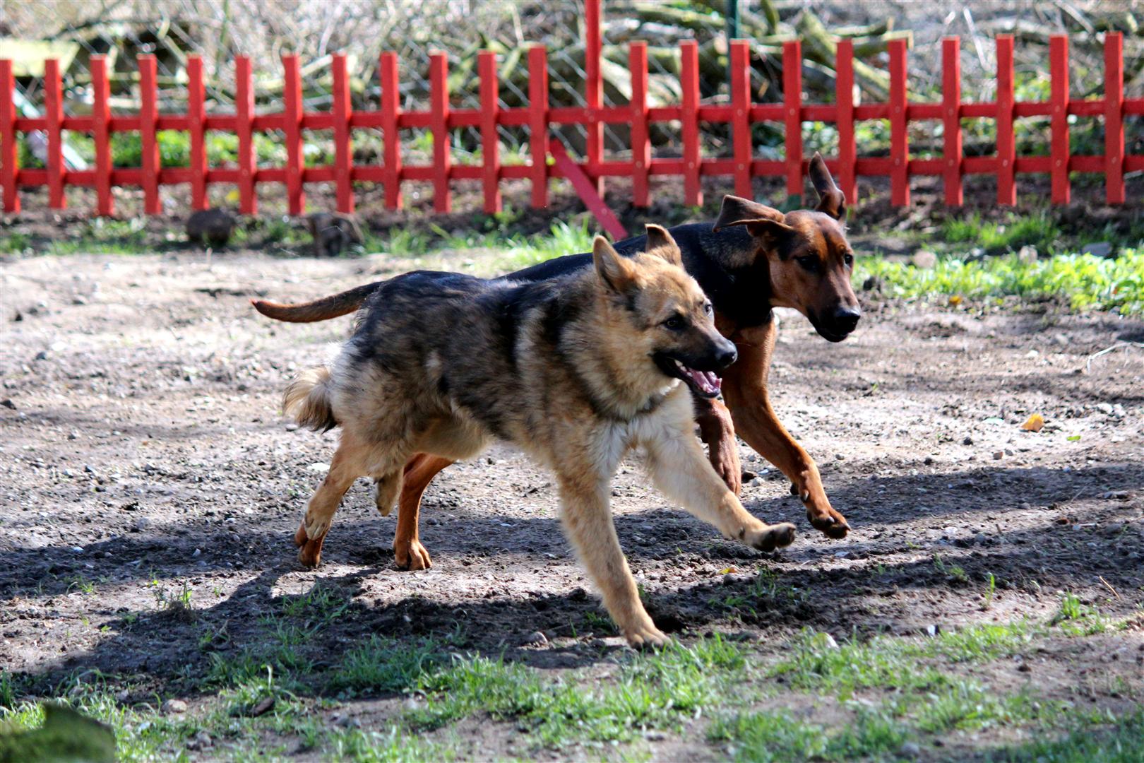 cid part8 455C9B13 4D7D6198online