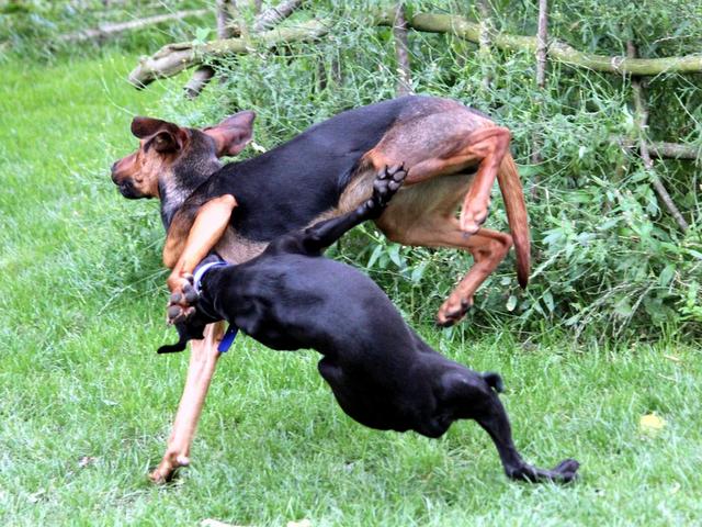 1 cid 1501515082369 6301893 f4c9ebb32c23624b06007ba67faef900a2616263spica telekom