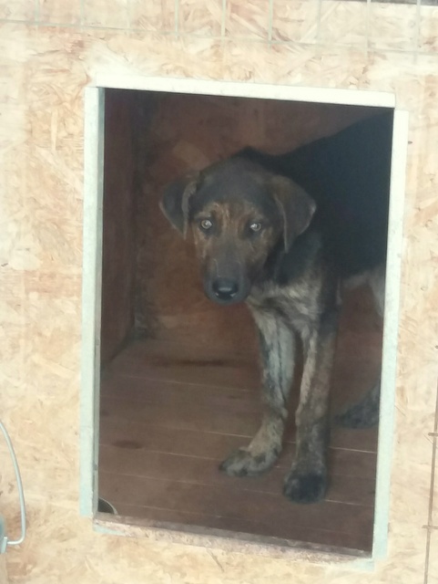 1 20170501 094600 resized