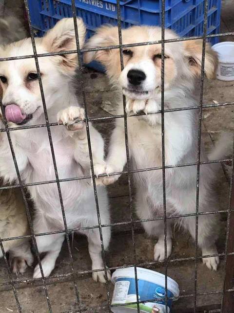 1 18601208 1519307291444128 214582711 n