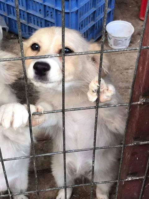 1 18601333 1519307258110798 1136687532 n