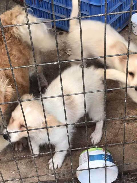 1 18622938 1519307304777460 1364317326 n