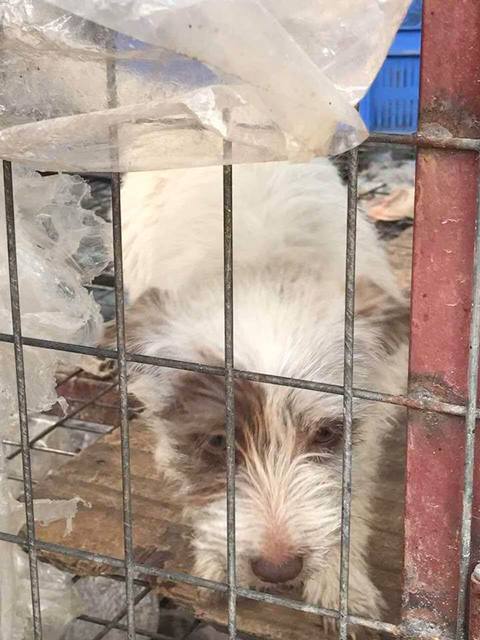 1 18624634 1519307394777451 1972750409 n