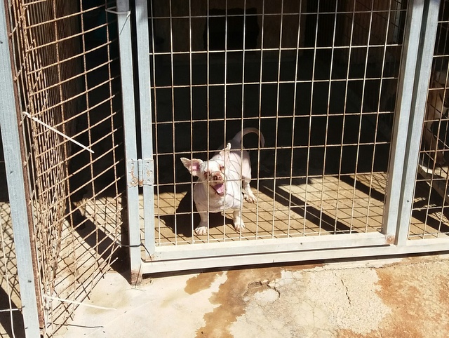 1 20170409 104427 resized