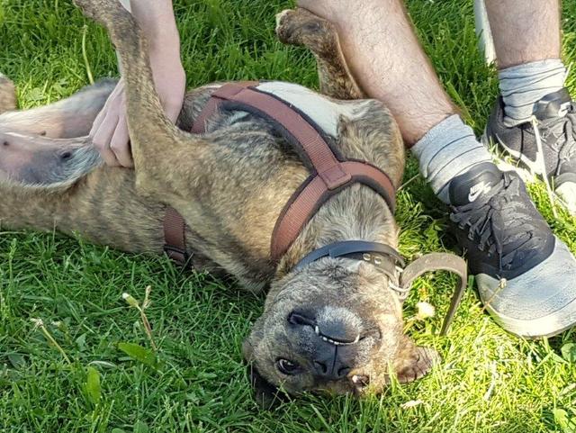 1 2017 05 27 PHOTO 00000015