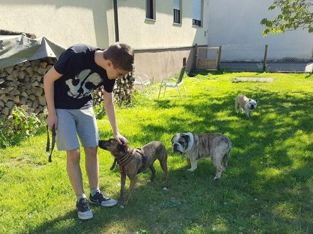 1 2017 05 27 PHOTO 00000016