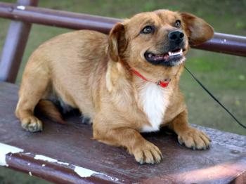 thumb FELICITY 1 001