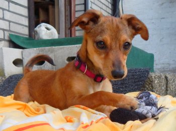 87455a8338dd0b4236d022226b31340d