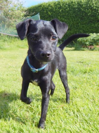 dc5953cbfd6e2ef80e8192563dd2b6a2