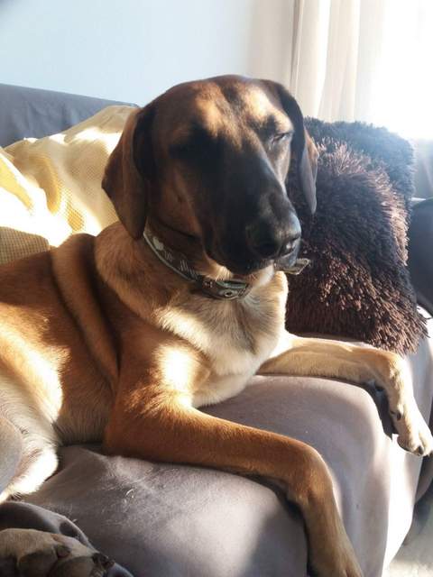 1 FB IMG 1510863237256