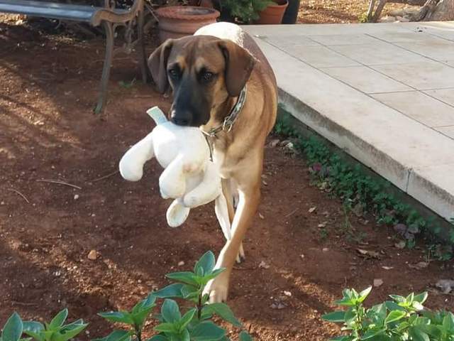 1 FB IMG 1510863256440