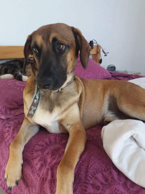 1 FB IMG 1510863271339