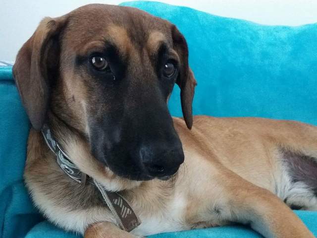 1 received 743271649193404