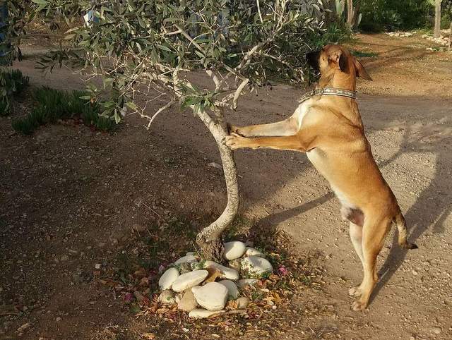 1 received 743271809193388