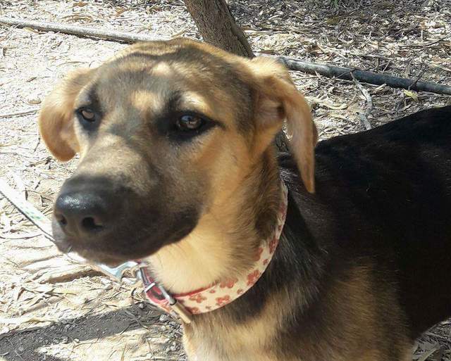 1 received 1326403594075439 001