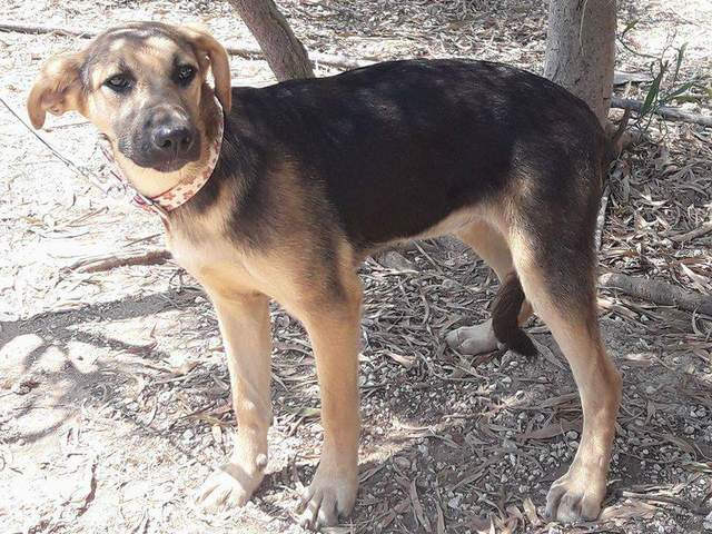 1 received 1326403710742094