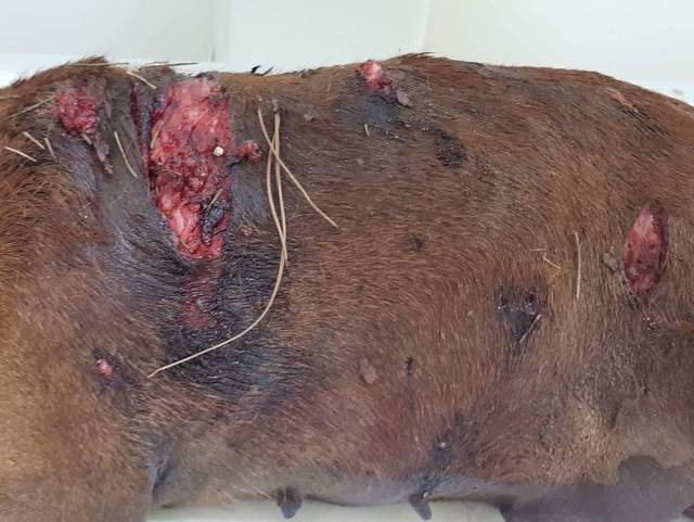 1 received 141088746786486