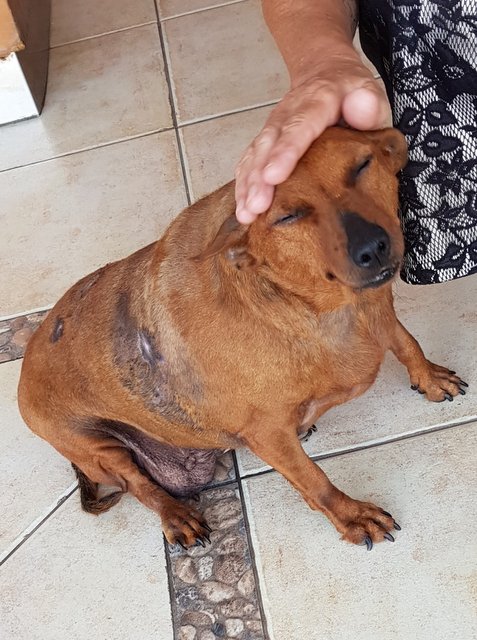 1 40059013 226276644711861 3878447324753559552 n