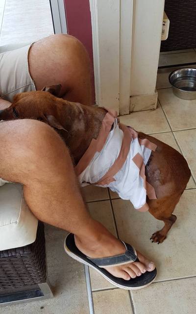 1 38071435 150380765857284 7029084790200467456 n