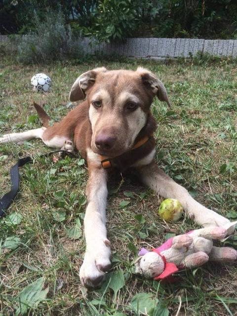 1 40796538 534004883701851 6585384998889586688 n