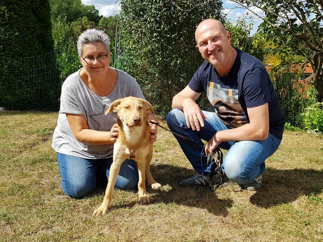 1 40810543 244337332939889 5549712957547479040 n