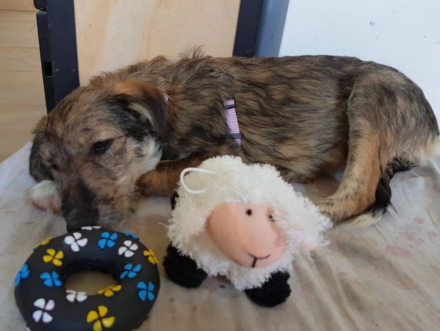 1 40868950 526353237808306 1056598122735599616 n