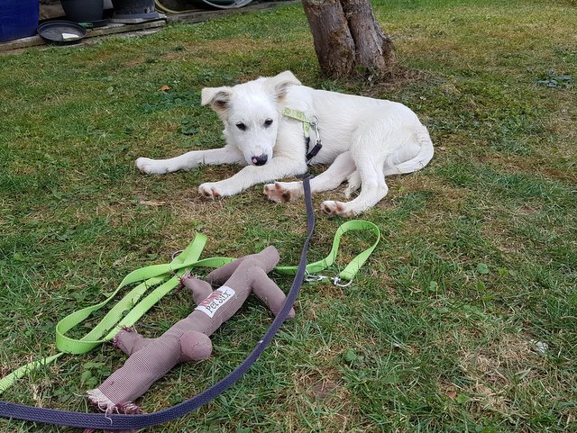 1 40882568 942844662566077 5292833982935728128 n