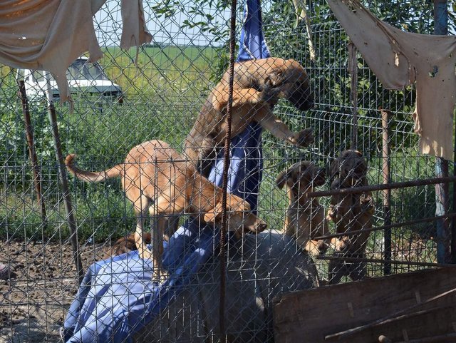 1 40910874 523197871455460 1492859009214971904 n