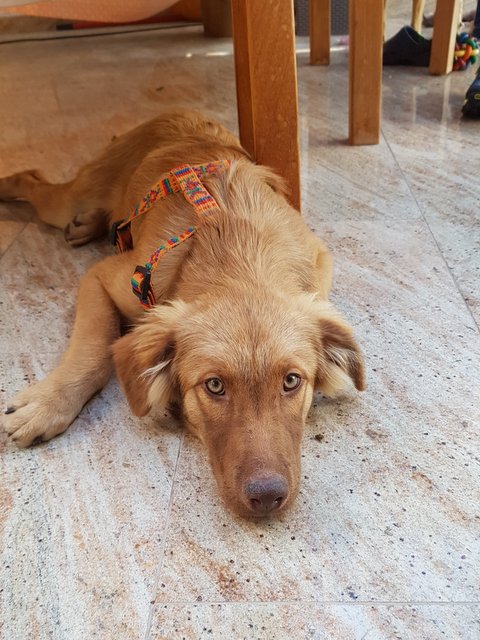 1 41020346 1944316235868485 6017198913398767616 n