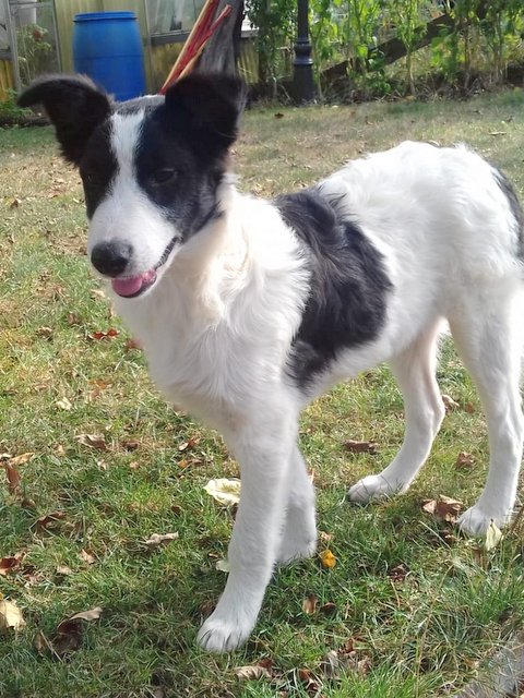 1 5PHOTO 2018 09 03 22 22 08