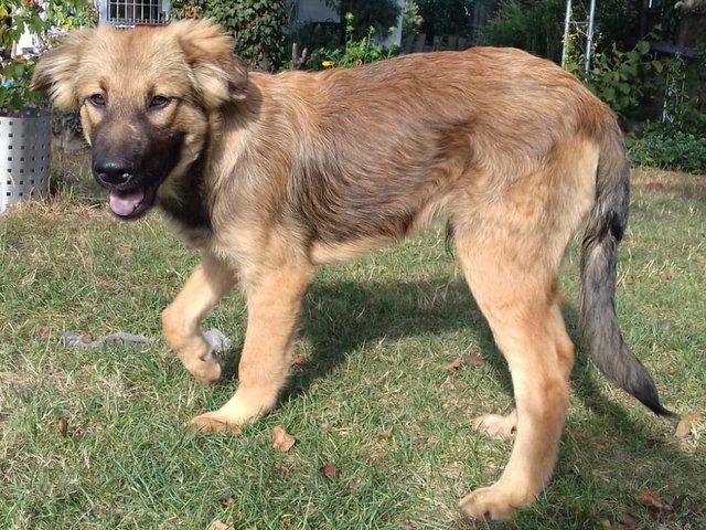 1 52018 09 03 22 22 09