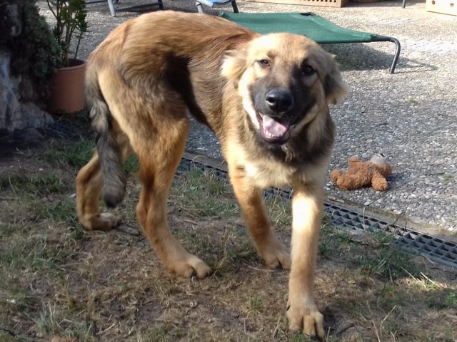 1 PHOTO 2018 09 03 22 22 09