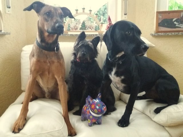 1 a531ffcd 8ba4 4999 8062 87bdd145289c