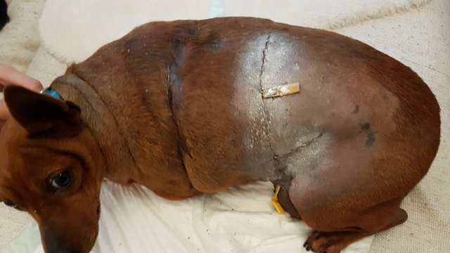 1 IMG 20181124 WA0013