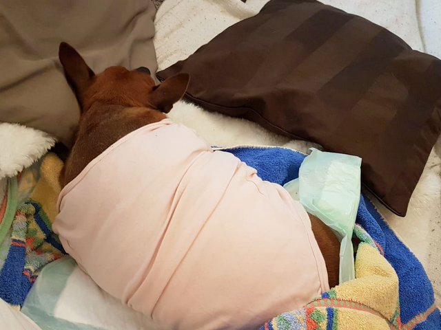 1 IMG 20181124 WA0018