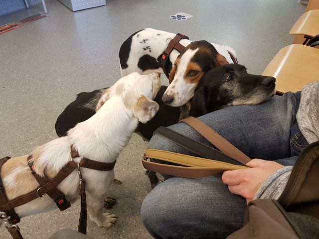 1 04ba02c2 b4bc 484f aeab 6cf1d515d3c8