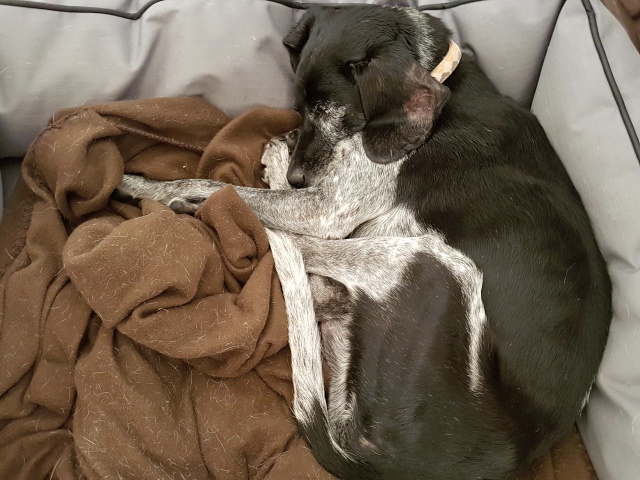 1 1c1d9d6f ce79 4a0f b9dd e7e223855717