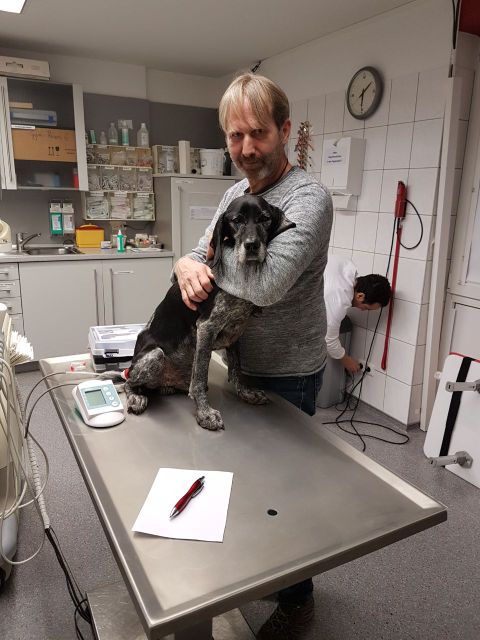 1 a7cd8dfd 5726 4cc1 85e9 31c2041f3bd5